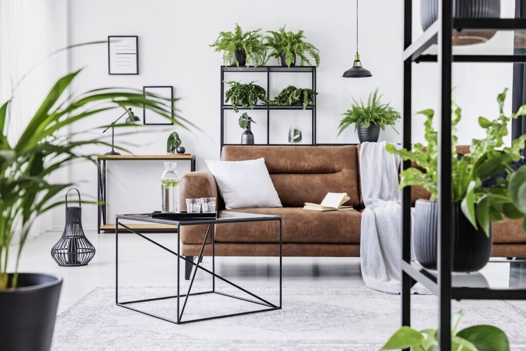 Urban Jungle Living Room