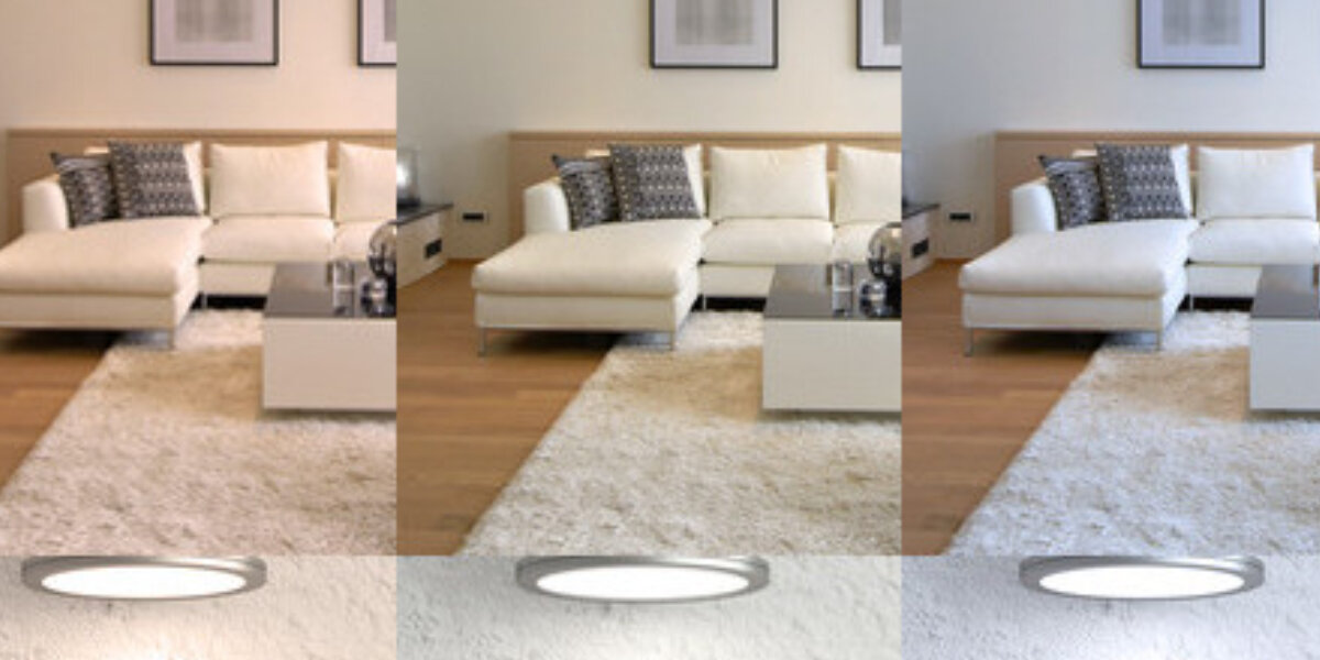 The Light Colours: Warm White, Neutral White and Daylight White