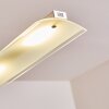 Hogana Pendant Light LED stainless steel, 5-light sources