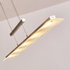 Hogana Pendant Light LED stainless steel, 5-light sources