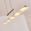 Hogana Pendant Light LED stainless steel, 5-light sources