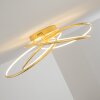 GLEN ceiling light LED gold, 1-light source, Remote control
