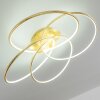 GLEN ceiling light LED gold, 1-light source, Remote control