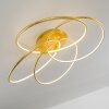 GLEN ceiling light LED gold, 1-light source, Remote control