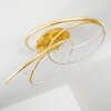 GLEN ceiling light LED gold, 1-light source, Remote control