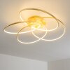 GLEN ceiling light LED gold, 1-light source, Remote control