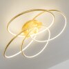 GLEN ceiling light LED gold, 1-light source, Remote control