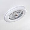 PIACENZA ceiling fan LED chrome, white, 1-light source, Remote control