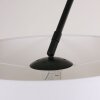 Steinhauer LILAC Floor Lamp black, 1-light source