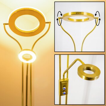 Donna uplighter LED brass, 2-light sources