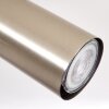 ZUOZ Ceiling Light chrome, matt nickel, 5-light sources