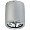 Albert 2130 ceiling light silver, 1-light source