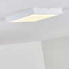 Broglen Ceiling Light LED white, 1-light source