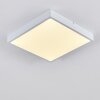 Broglen Ceiling Light LED white, 1-light source