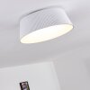 FREMONT Ceiling Light LED white, 1-light source, Remote control