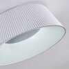 FREMONT Ceiling Light LED white, 1-light source, Remote control
