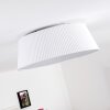 FREMONT Ceiling Light LED white, 1-light source, Remote control