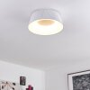 FREMONT Ceiling Light LED white, 1-light source, Remote control