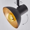 NEIDEN Ceiling light black-gold, 4-light sources