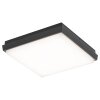 Outdoor Ceiling light LCD TYP 5061 LED black, 1-light source