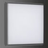 Outdoor Ceiling light LCD TYP 5061 LED black, 1-light source