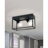EGLO SILENTINA Ceiling Light black, 2-light sources