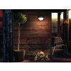 Philips CAPRICORN Outdoor Wall Light LED anthracite, 1-light source