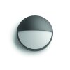 Philips CAPRICORN Outdoor Wall Light LED anthracite, 1-light source