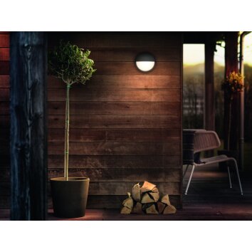 Philips CAPRICORN Outdoor Wall Light LED anthracite, 1-light source