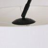Steinhauer LILAC Floor Lamp black, 1-light source