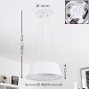 FREMONT Pendant Light LED white, 1-light source, Remote control