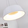 FREMONT Pendant Light LED white, 1-light source, Remote control