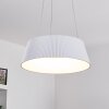 FREMONT Pendant Light LED white, 1-light source, Remote control