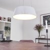 FREMONT Pendant Light LED white, 1-light source, Remote control