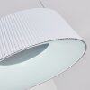 FREMONT Pendant Light LED white, 1-light source, Remote control