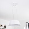 FREMONT Pendant Light LED white, 1-light source, Remote control
