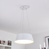 FREMONT Pendant Light LED white, 1-light source, Remote control