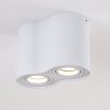 Betsie Ceiling Light white, 2-light sources