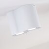 Betsie Ceiling Light white, 2-light sources