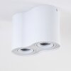 Betsie Ceiling Light white, 2-light sources
