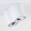 Betsie Ceiling Light white, 2-light sources
