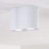 Betsie Ceiling Light white, 2-light sources
