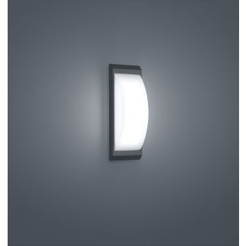 Helestra Kapo outdoor wall light LED grey, 1-light source
