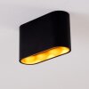 Dalarna Ceiling Light LED black-gold, 1-light source