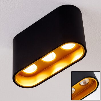 Dalarna Ceiling Light LED black-gold, 1-light source