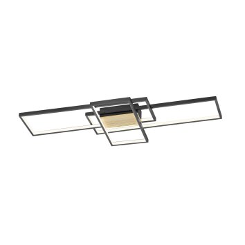 Trio TUCSON Ceiling Light LED black, 1-light source