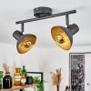 NEIDEN ceiling spotlight black-gold, 2-light sources