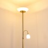 GISMARO Floor Lamp brass, 3-light sources