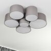 PAYETTE Ceiling Light white, 6-light sources