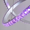 Saginaw Pendant Light LED matt nickel, 1-light source, Remote control, Colour changer